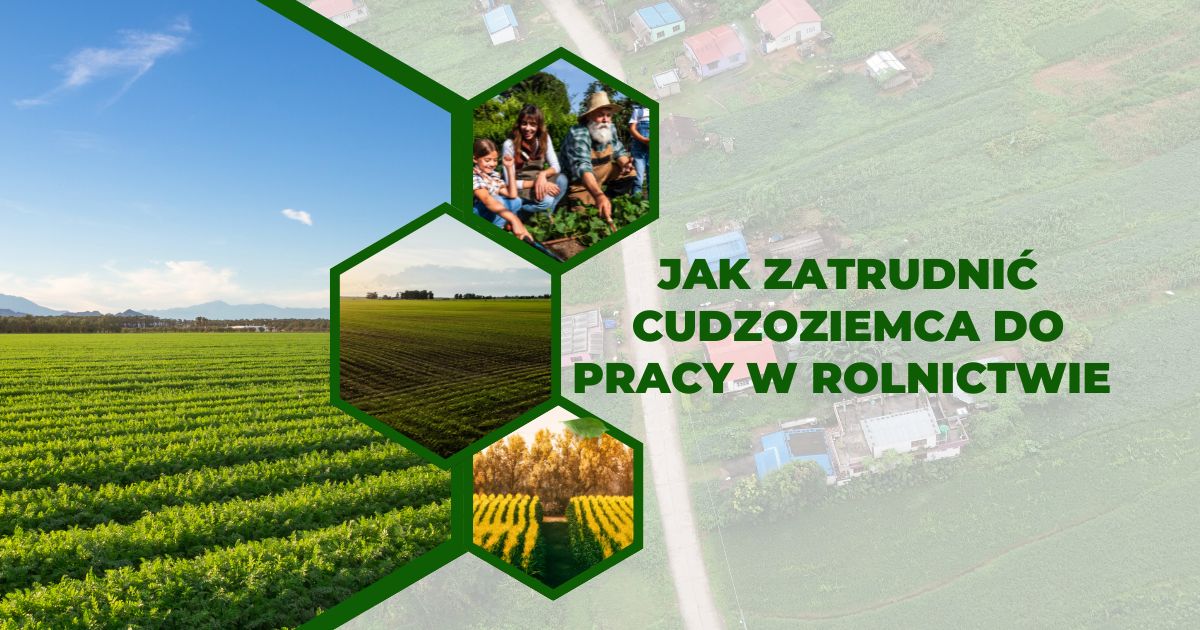 Obrazek dla: Materiały dotyczące zatrudniania cudzoziemców do pracy...